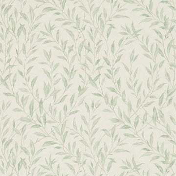 Sanderson Wallpaper Osier Willow/Cream 216409