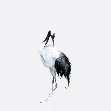 Galerie Wallpaper Painted Crane 34594