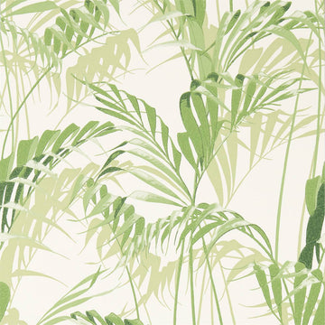 Sanderson Wallpaper Palm House Botanical Green 216643