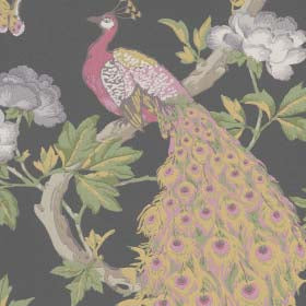 Little Greene Wallpaper Pavona Maeve