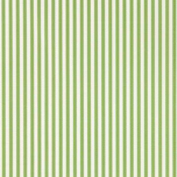 Sanderson Wallpaper Pinetum Stripe Sap Green 217255