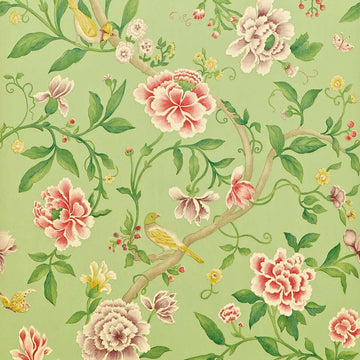 Sanderson Wallpaper Porcelain Garden Rose/Fennel DCAVPO101