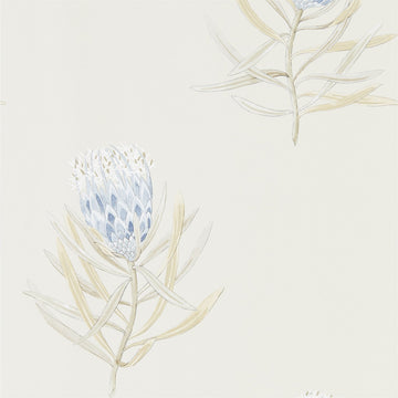 Sanderson Wallpaper Protea Flower China Blue/Canvas 216327