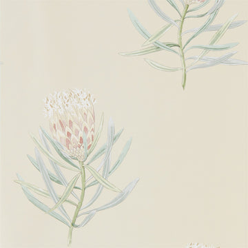Sanderson Wallpaper Protea Flower Russet/Green 216329