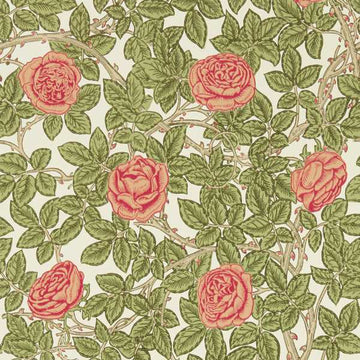Morris & Co Wallpaper Rambling Rose Twining Vine 217207