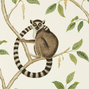Sanderson Wallpaper Ringtailed Lemur Cream/Olive 216664