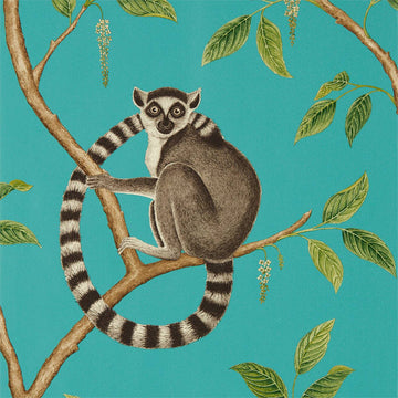 Sanderson Wallpaper Ringtailed Lemur Teal 216663
