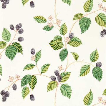 Sanderson Wallpaper Rubus Blackberry 217227