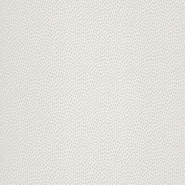 Paint & Paper Library Wallpaper Seedpod Salt