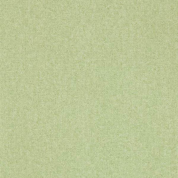 Sanderson Wallpaper Sessile Plain Moss Green 217248