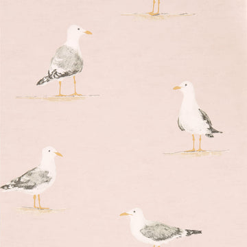 Sanderson Wallpaper Shore Birds Blush 216562