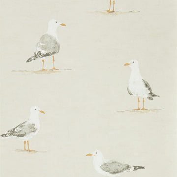 Sanderson Wallpaper Shore Birds Driftwood 216563