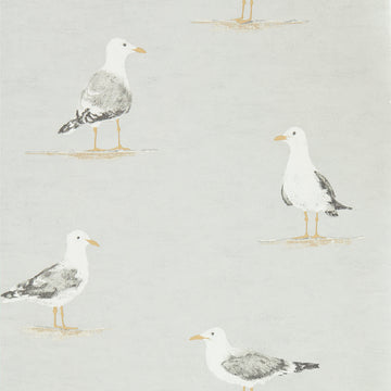 Sanderson Wallpaper Shore Birds Gull 216565