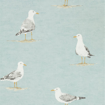 Sanderson Wallpaper Shore Birds Sky 216564