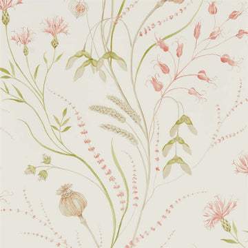 Sanderson Wallpaper Summer Harvest Claret/Olive 216495