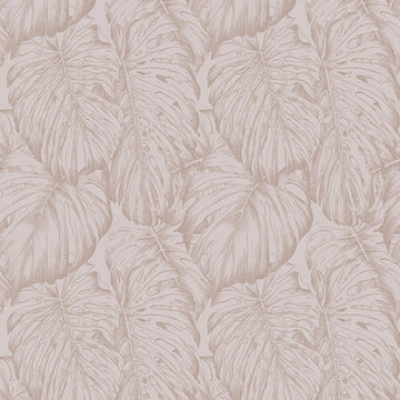 Graham & Brown Wallpaper Tropical Blush 103767