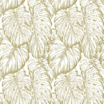 Graham & Brown Wallpaper Tropical Pearl 103765