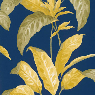 Paint & Paper Library Wallpaper Tropicane Plimsoll