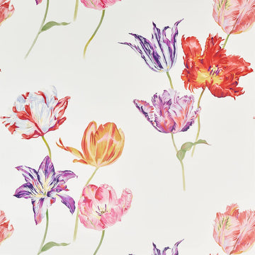 Sanderson Wallpaper Tulipomania Botanical 216666