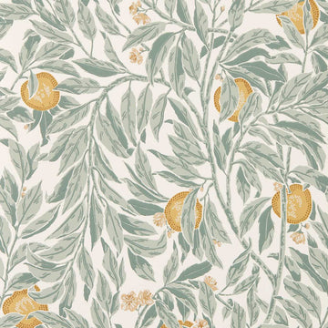 Sanderson Wallpaper Ancient Apple Orchard Golden Knot & Sage DHIP217494