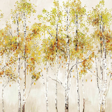 Galerie Wallpaper Aspen Tree DB31006M
