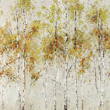 Galerie Wallpaper Aspen Tree DB32006M