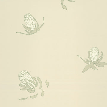 Paint & Paper Library Wallpaper Buds Hugo