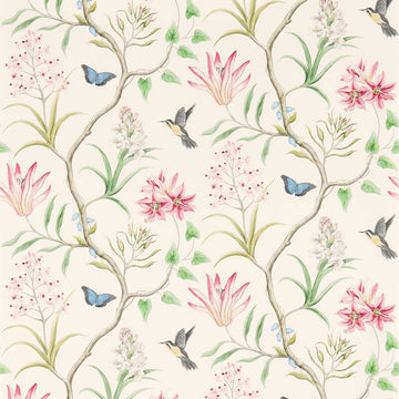 Sanderson Wallpaper Clementine Chintz 213388