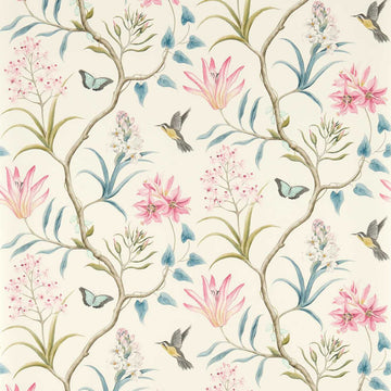 Sanderson Wallpaper Clementine Dusky Pink 213386