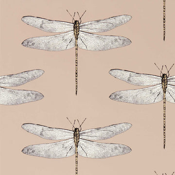 Harlequin Wallpaper Demoiselle Positano / First Light / Taupe 113142