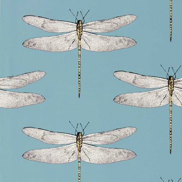 Harlequin Wallpaper Demoiselle Cornflower / First Light / Honey 113144