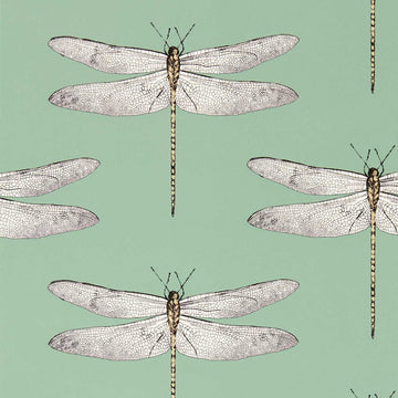 Harlequin Wallpaper Demoiselle Seaglass / First Light / Sand 113145