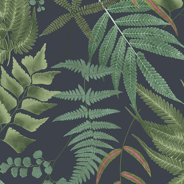Botanica Midnight Navy Blue Leaves Tropical Wallpaper 105454 by