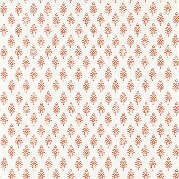 Clarke & Clarke Wallpaper Nandana Spice W0238/05