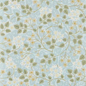 Sanderson Wallpaper Silver Lime Mineral/Gooseberry DHIP217517