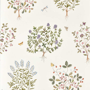 Sanderson Wallpaper Thyme Walk Damson/Quince DHIP217509