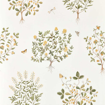 Sanderson Wallpaper Thyme Walk Lichen/Gooseberry DHIP217508