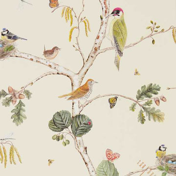 Sanderson Wallpaper Woodland Chorus Cream/Multi 215703