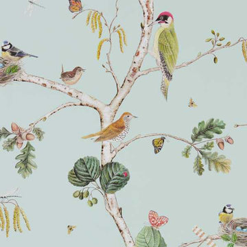 Sanderson Wallpaper Woodland Chorus Sky Blue/Multi 215706