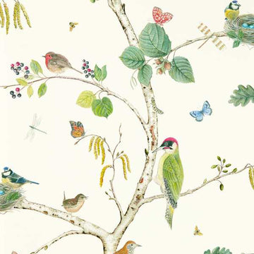 Sanderson Wallpaper Woodland Chorus Botanical/Multi 217230