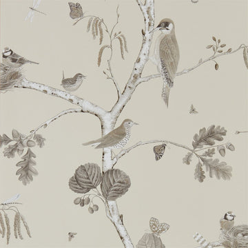 Sanderson Wallpaper Woodland Chorus Sepia/Neutral 215704