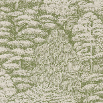 Sanderson Wallpaper Woodland Toile Cream/Green 215720