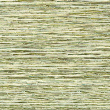 Clarke & Clarke Wallpaper Xan Palm W0192/04