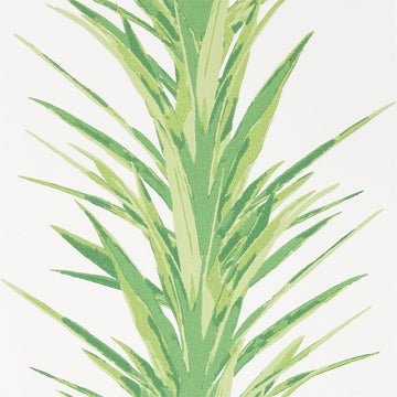 Sanderson Wallpaper Yucca Botanical Green 216649